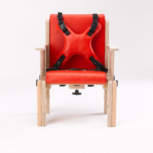 4 Point Harness - Heathfield Chair